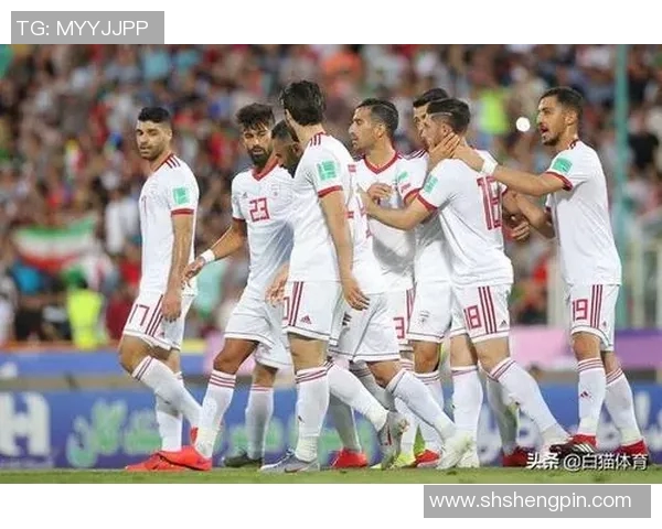 伊朗国家足球明星队阵容全解析及球员表现亮点回顾