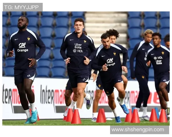 2018年法国足球队阵容分析与球员表现回顾