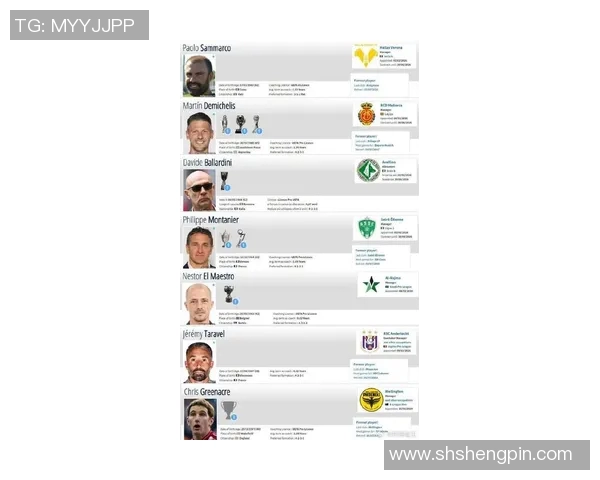 冰岛足球明星现役球员实力排名及其影响力分析