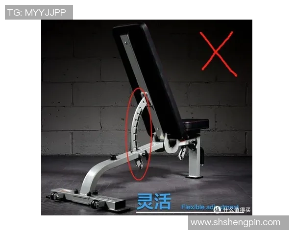 哑铃凳助力腹肌训练全面提升核心力量与塑形效果